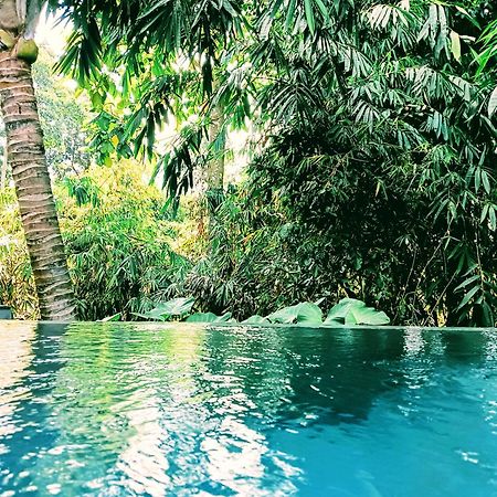 Hotel Ngesil Private Joglo & Pool Ubud Exterior foto