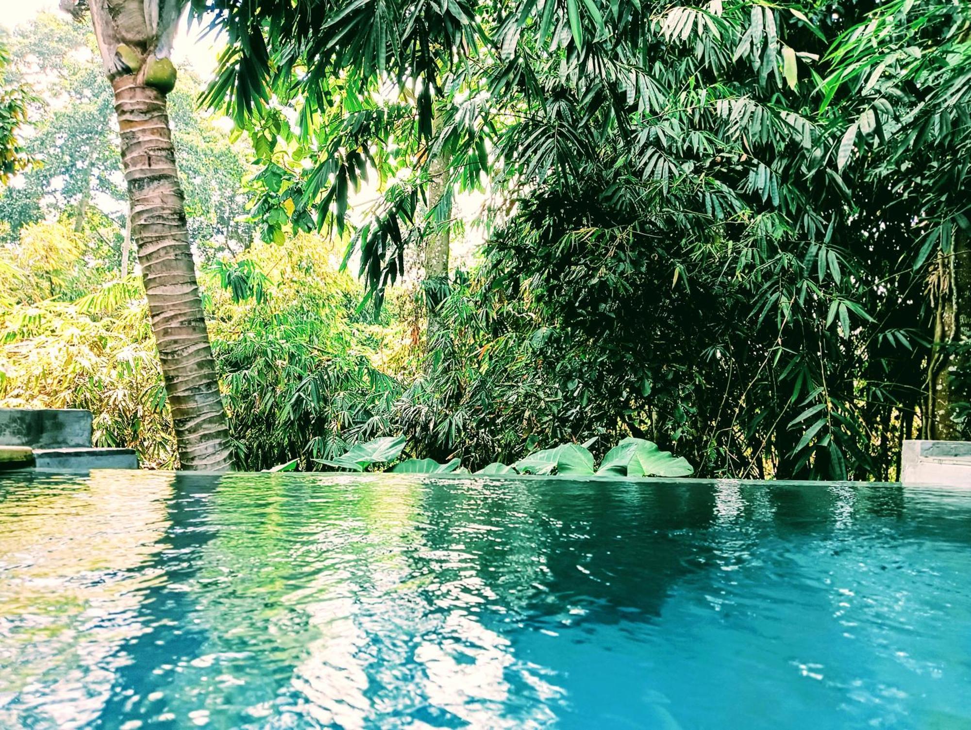 Hotel Ngesil Private Joglo & Pool Ubud Exterior foto